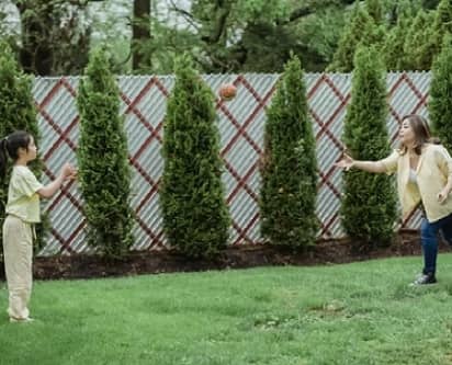 AAA Quality Fencing Noise